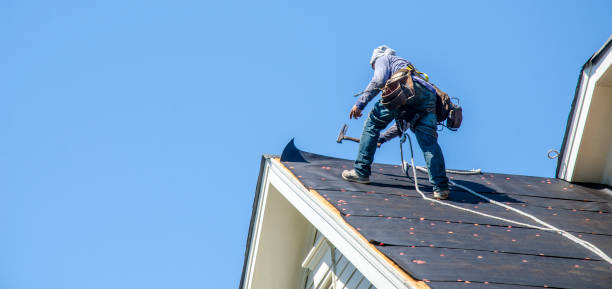 Best Flat Roof Repair Services  in Meadow Vale, KY